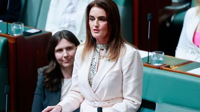 Labor MP Ali France Reported To AEC Over Enrolment Address Claims