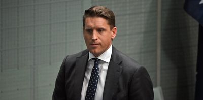 One Nation targets Liberal frontbencher Andrew Hastie over role in Ben Roberts-Smith affair