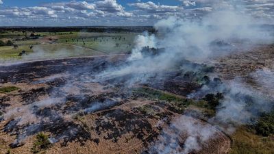 Deforestation in Brazilian Amazon falls to lowest level since 2019