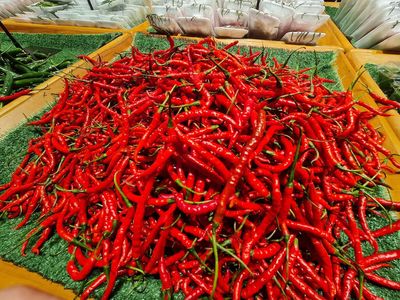 Nearly 1,000 kg fake chilli, garam masala, turmeric and coriander found in Delhi’s Khari Baoli, Asia’s largest wholesale spice market