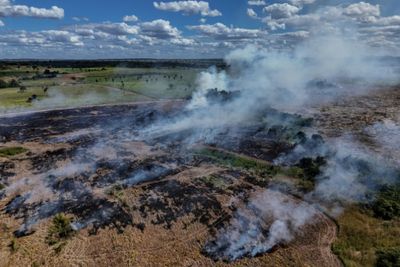 Deforestation in Brazil's Amazon drops to lowest level since 2019