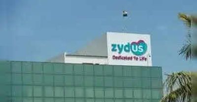 Zydus Lifesciences buyback alert! Last date to buy shares to participate in Rs 1,100 crore buyback at 7% premium