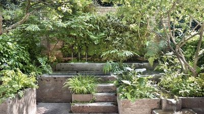The Only Plant You Need For a Natural Slug-Proof Barrier – It's Low-Maintenance and Thrives in Shade