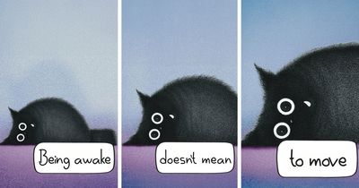 35 New Cat Comics By Luis Coelho That Are Funny, Cozy, And Weirdly Accurate