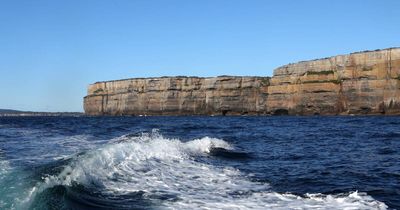 Surfer dies, another rescued in Jervis Bay tragedy on Wednesday