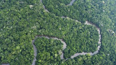 Deforestation in Brazil's Amazon slows to lowest level in six years