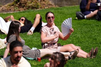Record UK heatwave prompts NHS website visits surge over heatstroke and sunburn advice
