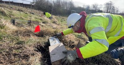 Rare underground animals relocated from city centre ahead of major project