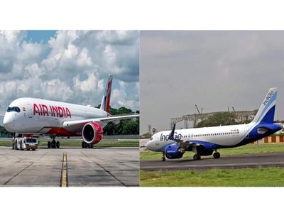 India's top airlines cut domestic flights between 5-22%