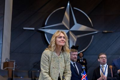 Iceland foreign minister compares opponents to Farage as crucial referendum looms