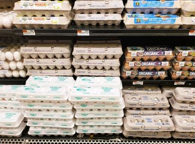 7 Everyday Purchases That No Longer Feel “Cheap” to Middle-Class Households in 2026