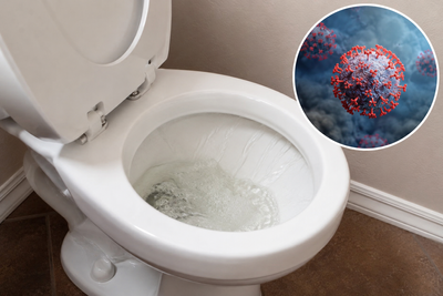 Bird Flu Found in the Tap Water You Flush Away: H5N1 Has Been Detected in Wastewater Across 10 Texas Cities — Including Houston