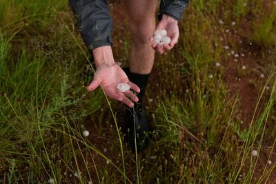A warmer world creates bigger and more damaging hailstones, study says