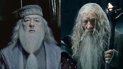 Who’d Win In A Fight Between Dumbledore And Gandalf? I Really Love Ian McKellen’s Take