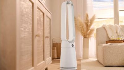 Lidl takes on Dyson with its very own bladeless fan dupe – and it’s only £60!