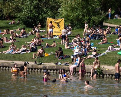‘Utterly appalling’: anger over swimmers in Hampstead Heath wildlife ponds