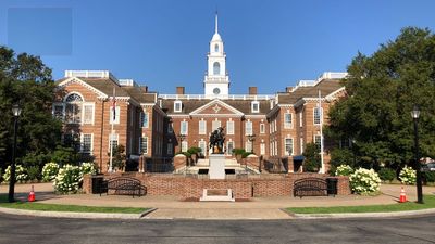 Judge rules ‘artificial entities’ can vote in Delaware local elections: ‘Stuff of science fiction’