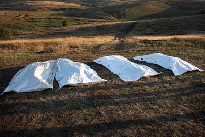 Nearly half a million Russians killed in Ukraine war, UK spy chief says