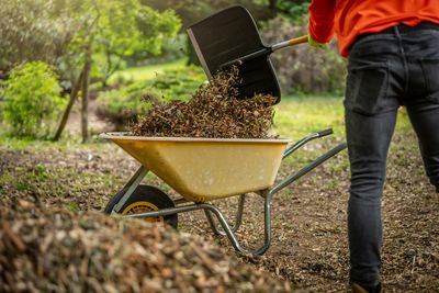 Mulching Magic: Budget-Friendly Ways To Conserve Water And Suppress Weeds