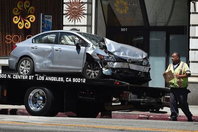 1.7 million animals were killed by cars on America’s roads last year, costing the US economy $10 billion