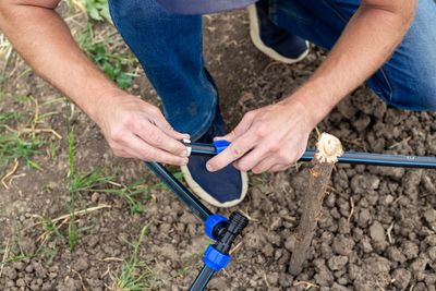Install a DIY Drip Irrigation System to Save Water and Money This June