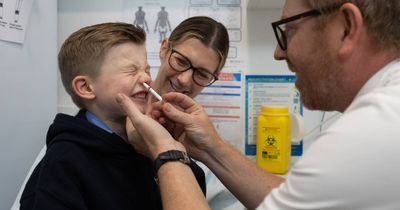 Free flu nasal spray expanded for youngsters, as Noah avoids the needle