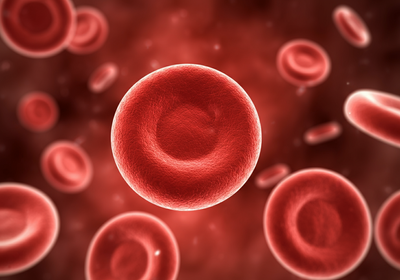 Scientists trace human blood cells back to ancient single-celled ancestors