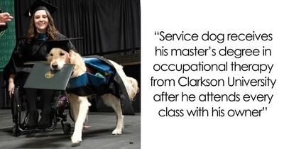 “Therapy Cat”: 72 Times Schools And Universities Made Their Students’ Lives Better (New Pics)