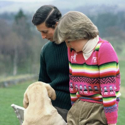 King Charles Wrote About the “Antics” His Beloved Dog Got Into Before Princess Diana Convinced Him to Rehome the “Smelly” Lab
