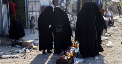 Bail bid by terror-accused 'ISIS bride' to be with kids