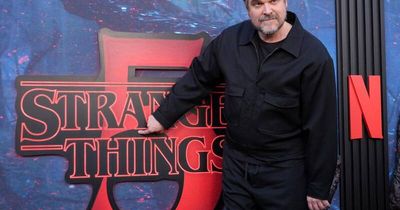 Harbour reveals regrets over Stranger Things finale