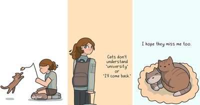 30 Honest Comics By Sera Beeves That Capture What It Feels Like To Be A Young Adult Today (New Pics)
