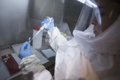 Is Ebola Entering India? What You Must Know