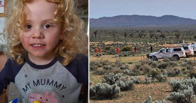 'Closer to not finding him': no trace of missing boy