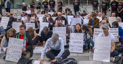 Judge pauses Scottish challenge to Palestine Action ban in blow to activists