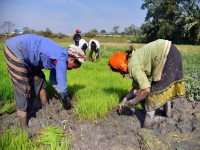 Govt readies contingency plans to counter El Nino threat to kharif season: Shivraj Singh Chouhan