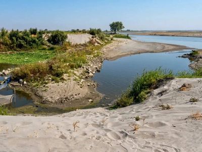 From river to muddy trail: Yamuna in Delhi is now just a shallow brown stream, Villagers walk across the dry river bed