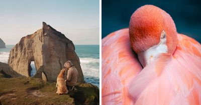 20 Powerful Photos From The 2026 Animal Kingdom Competition By Life Framer