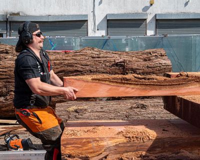 ‘It’s like Dunkirk for the construction industry!’ The small team rescuing London’s precious building materials