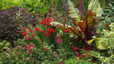 Color Drenching Isn’t Just for Interiors – It’s the Outdoor Trend Transforming Yards This Summer