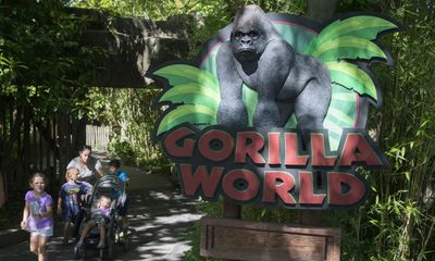 ‘True patriot’: White House pays bizarre tribute to Harambe 10 years after gorilla’s death