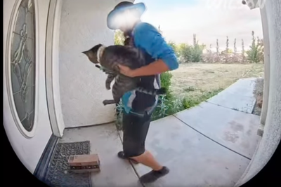 Shocking doorcam video shows the moment Amazon driver takes pet cat - leaving family in ‘utter disbelief’