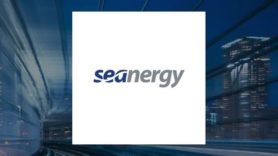 Seanergy Maritime Q1 Earnings Call Highlights