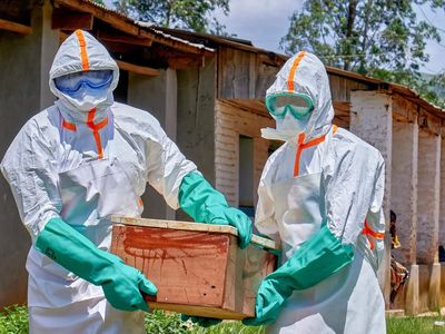 Ebola: 'You are not alone' in fight, vows DR Congo-bound WHO chief