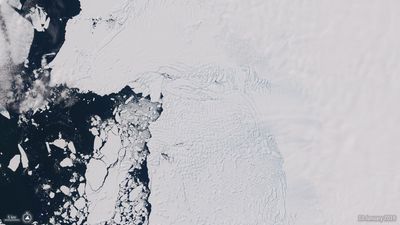 The 'Doomsday Glacier' is poised to lose its ice shelf this year. An Antarctic researcher explains what that means for global sea levels