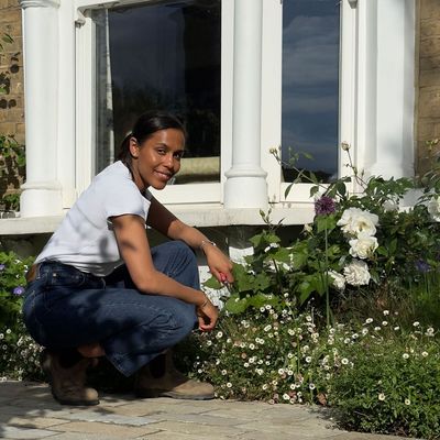 The three plants I’m sticking to this year for an easy-to-maintain and bloom-filled garden