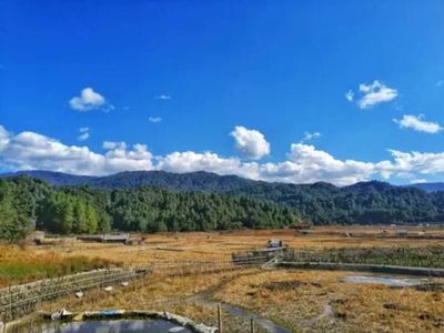 Environment Ministry's advisory panel gives nod for forest diversion to build Kalai-II hydel project in Arunachal