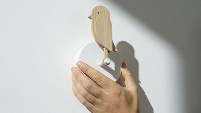 This smart bird detects poor air quality before 'coming back to life' when the air improves