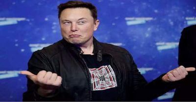 Elon Musk defends AI ambitions as IPO reveals trouble