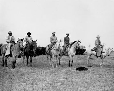 A Black Cowboy Museum, Rebooted